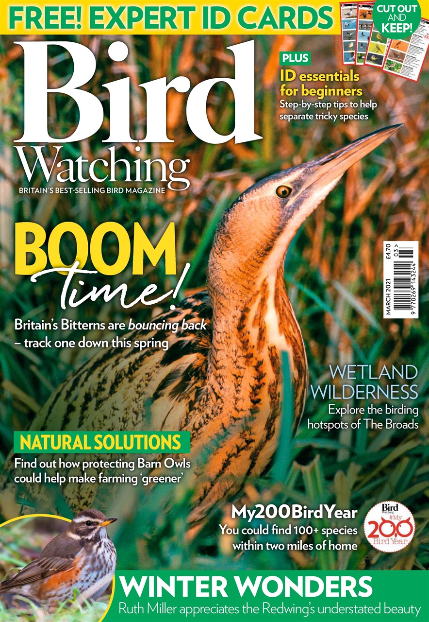 Bird Watching Preview Pages