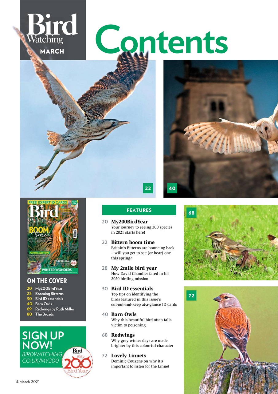 Bird Watching Preview Pages