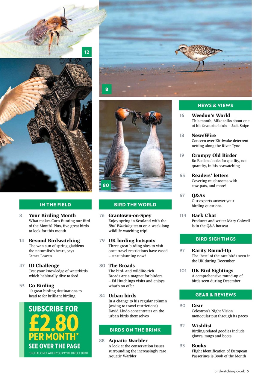 Bird Watching Preview Pages