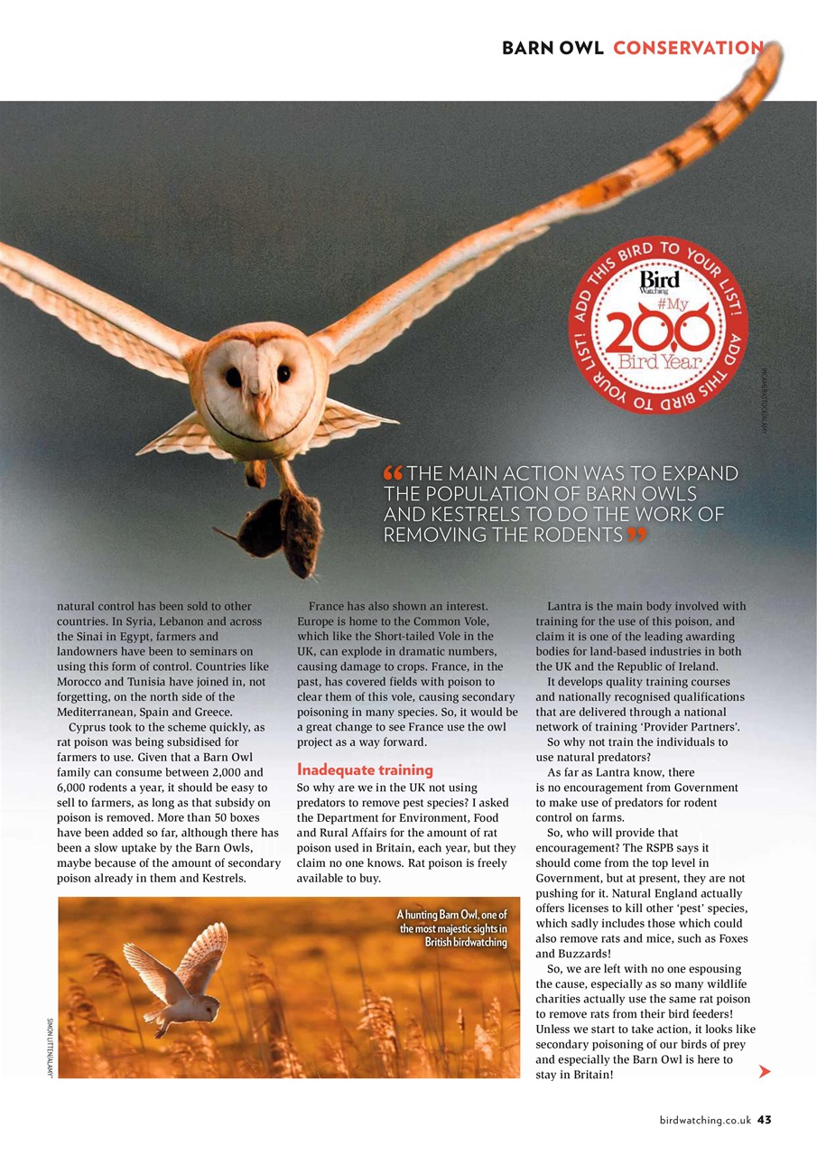 Bird Watching Preview Pages