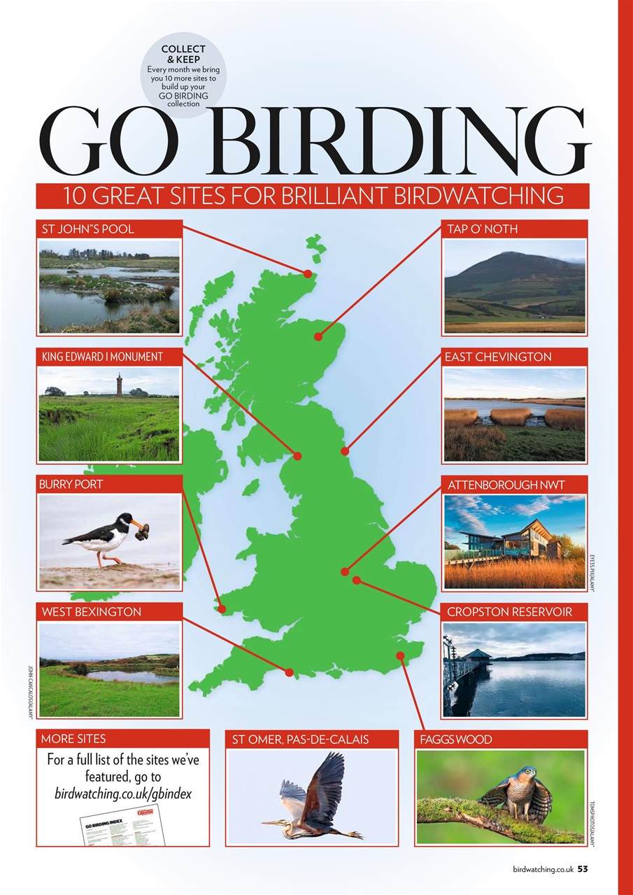 Bird Watching Preview Pages