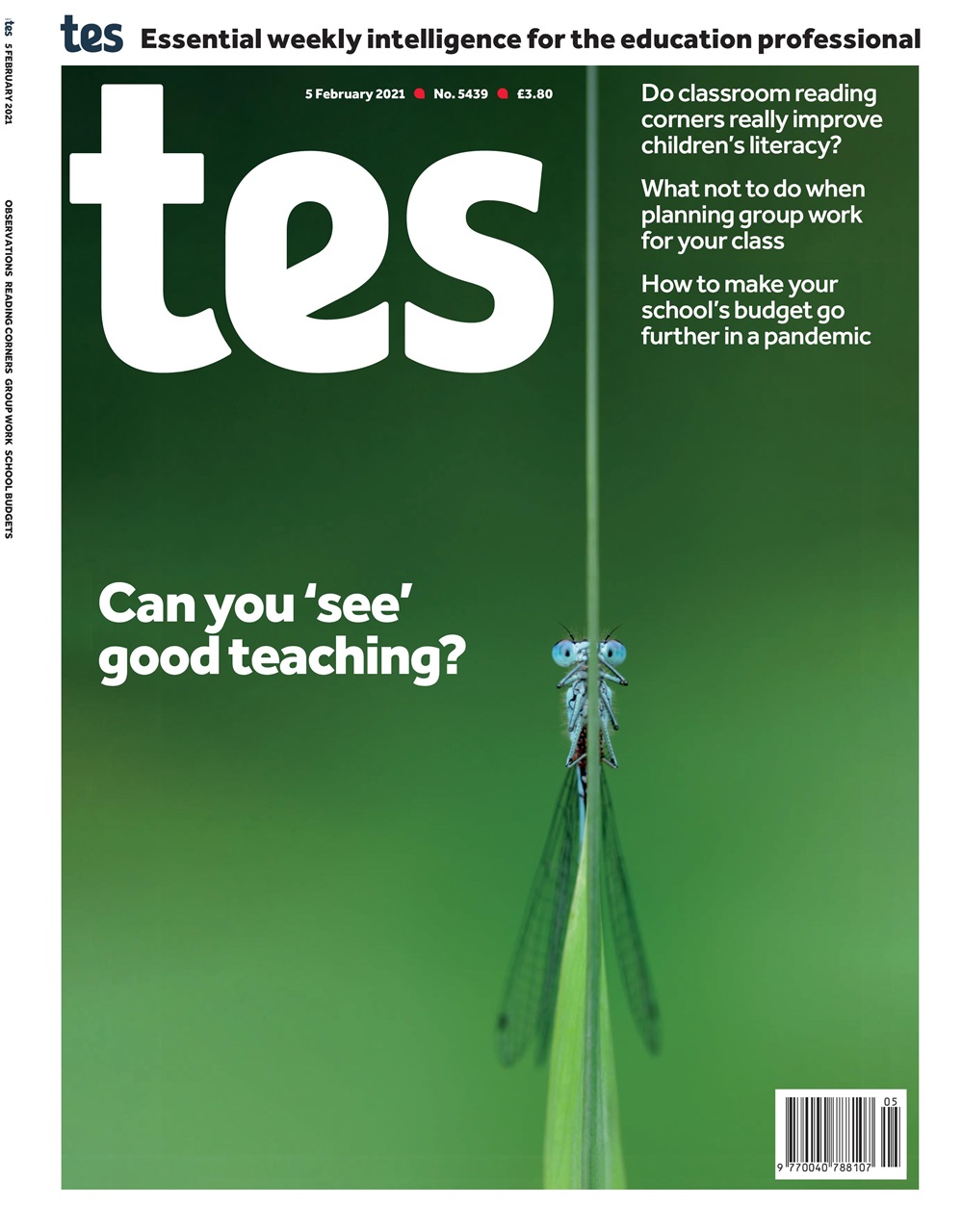 TES Preview Pages