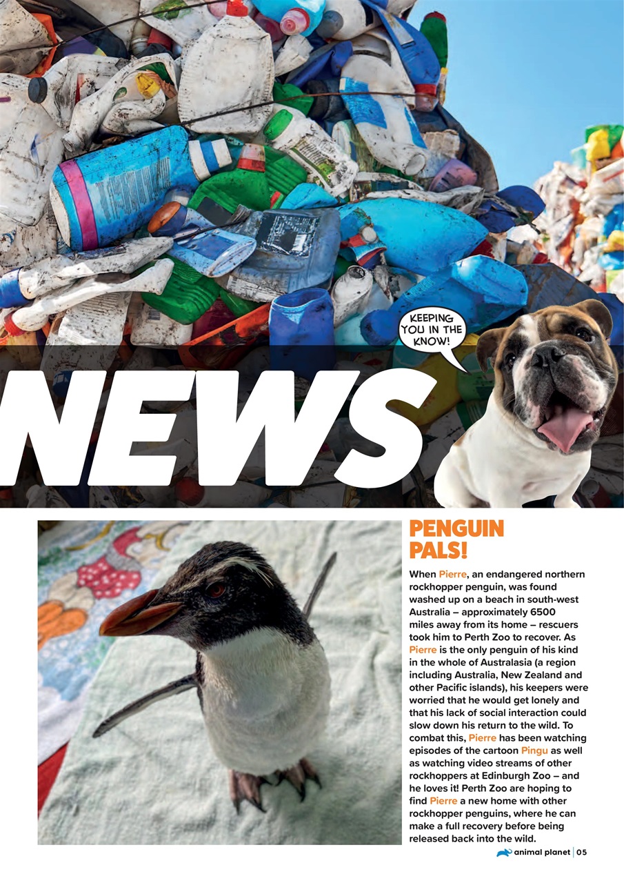 Animal Planet Kids Preview Pages