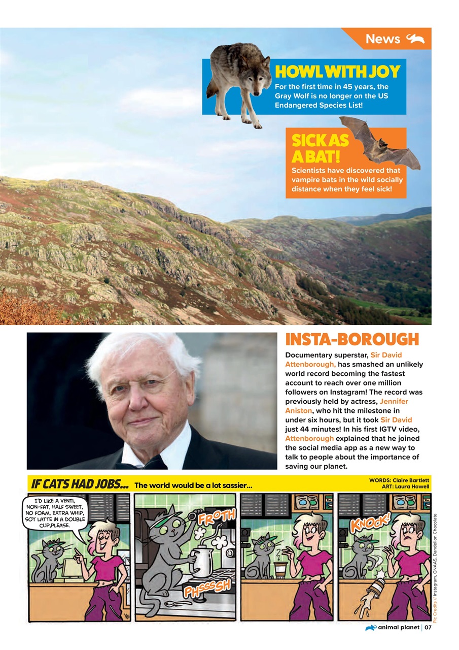 Animal Planet Kids Preview Pages