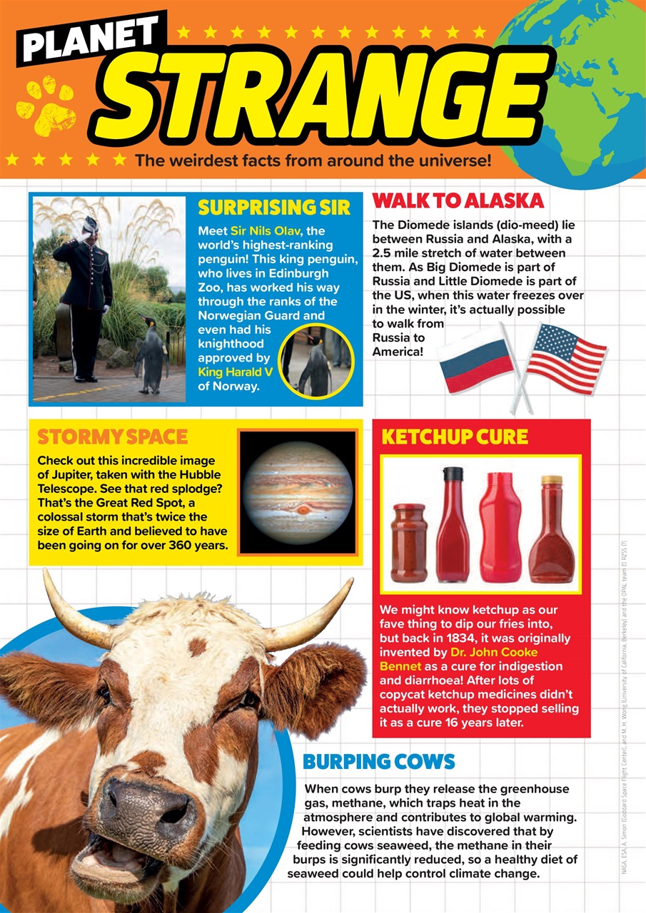Animal Planet Kids Preview Pages