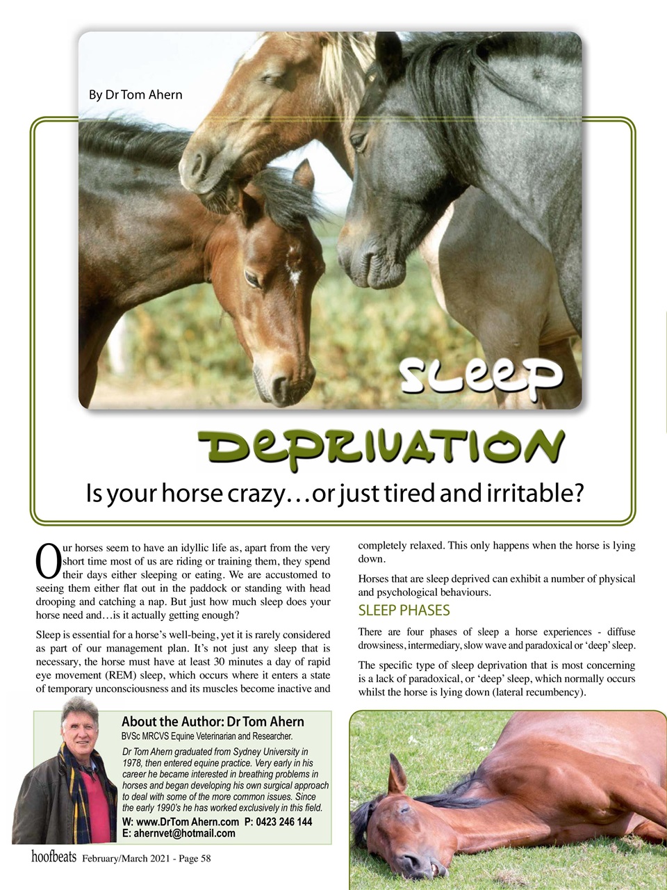 Hoofbeats Preview Pages