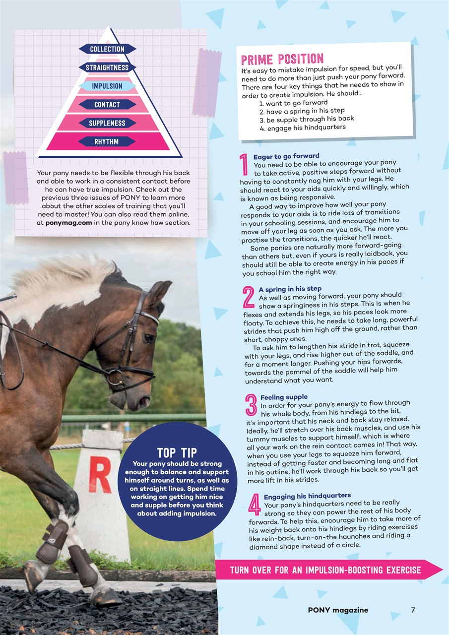 Pony Magazine Preview Pages