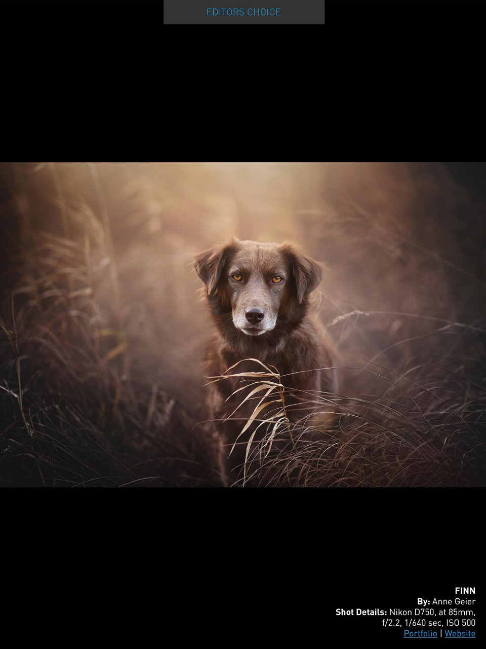 Photography Masterclass Magazine Preview Pages