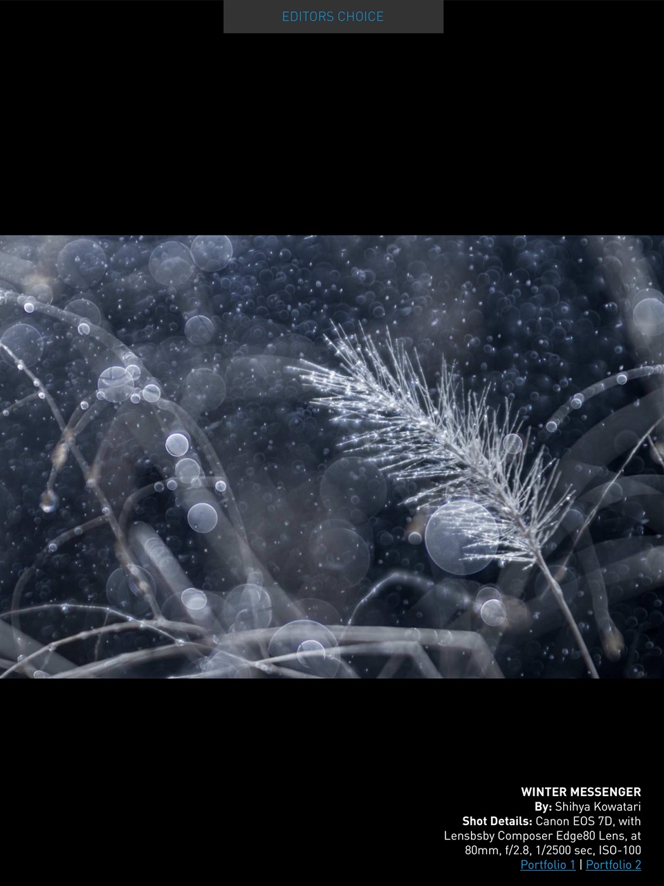 Photography Masterclass Magazine Preview Pages