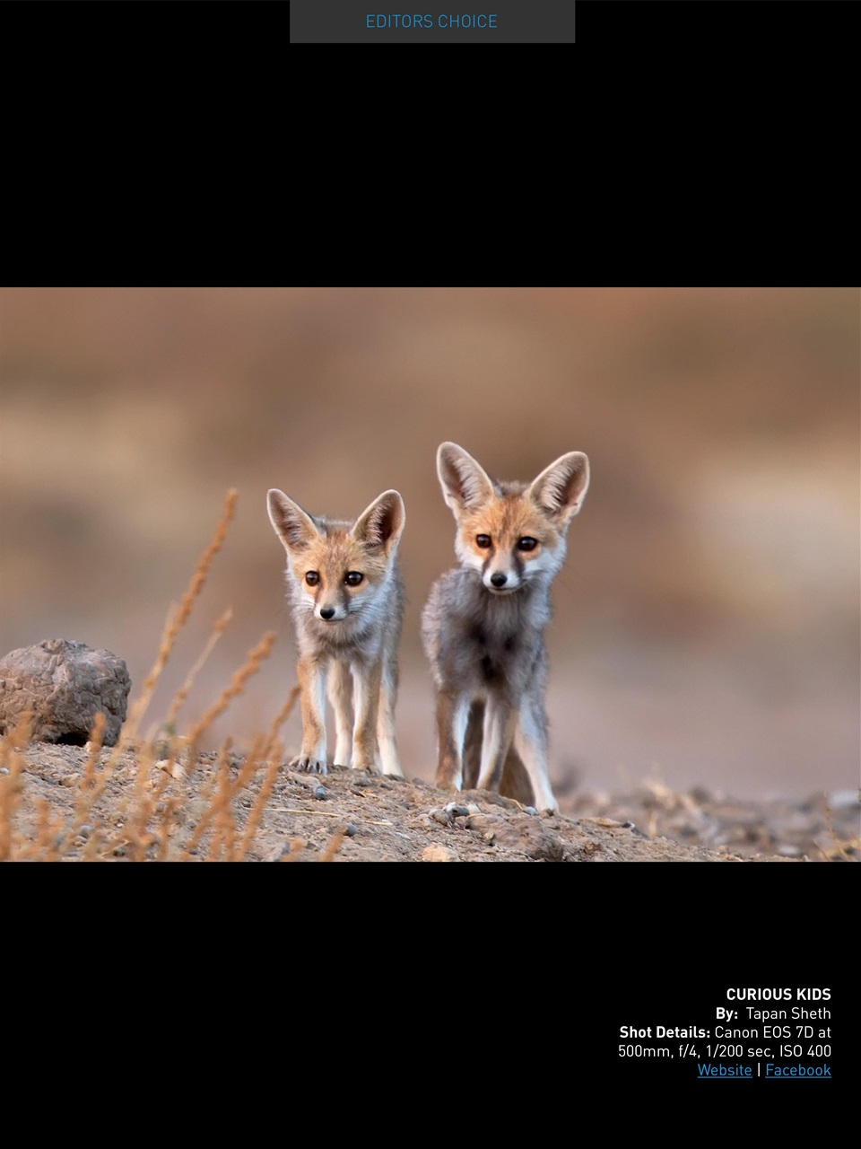 Photography Masterclass Magazine Preview Pages