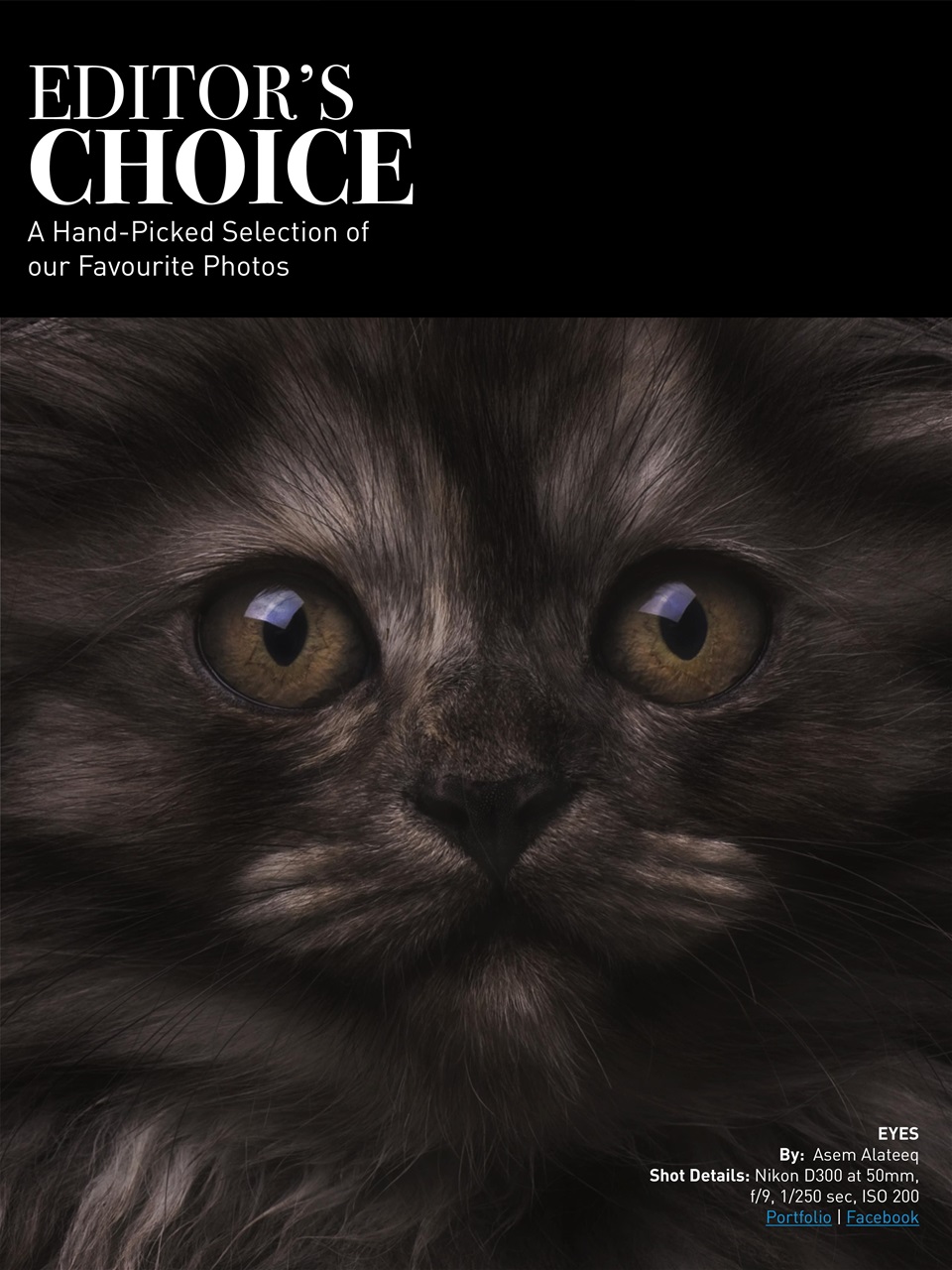 Photography Masterclass Magazine Preview Pages