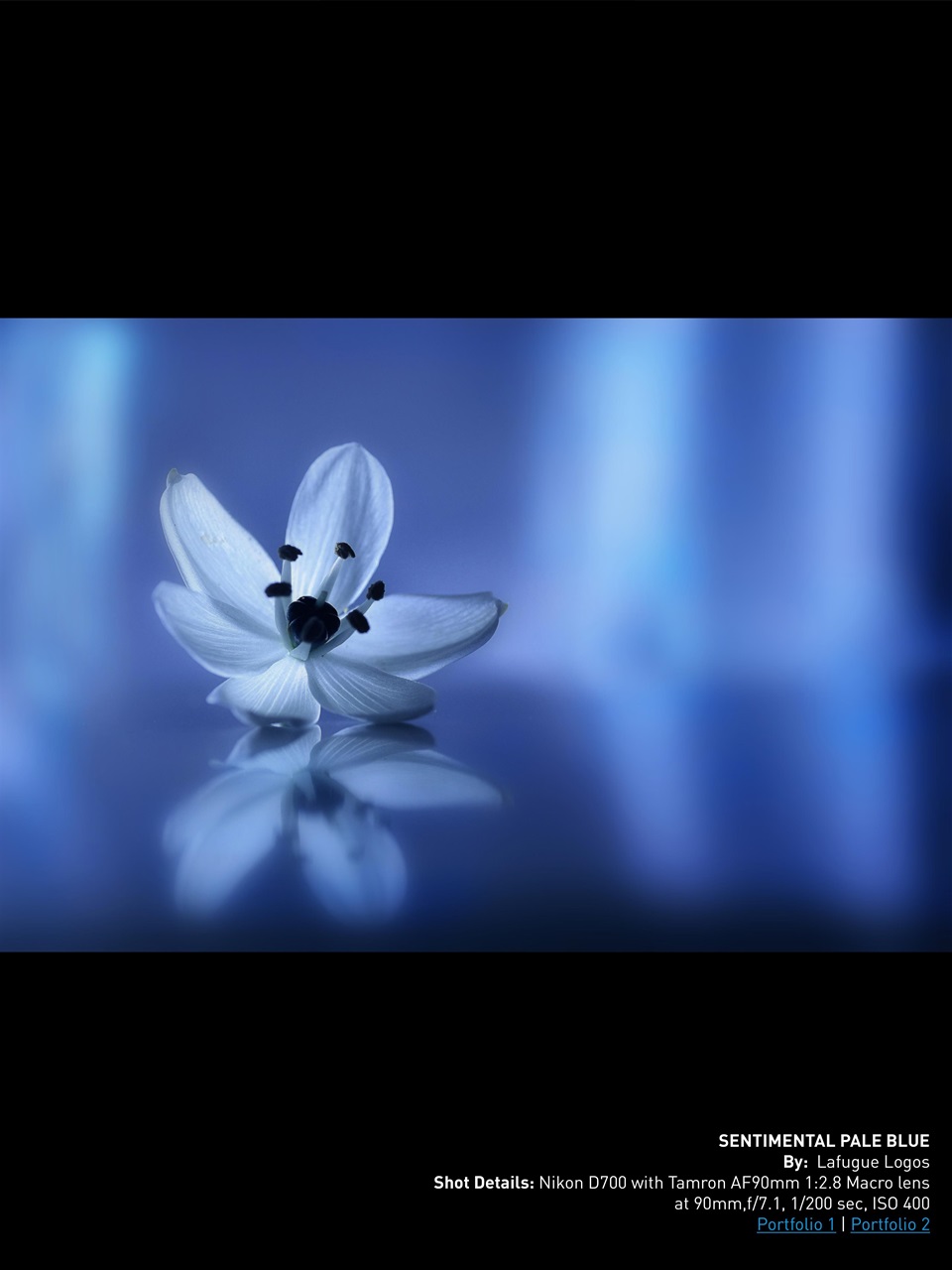 Photography Masterclass Magazine Preview Pages