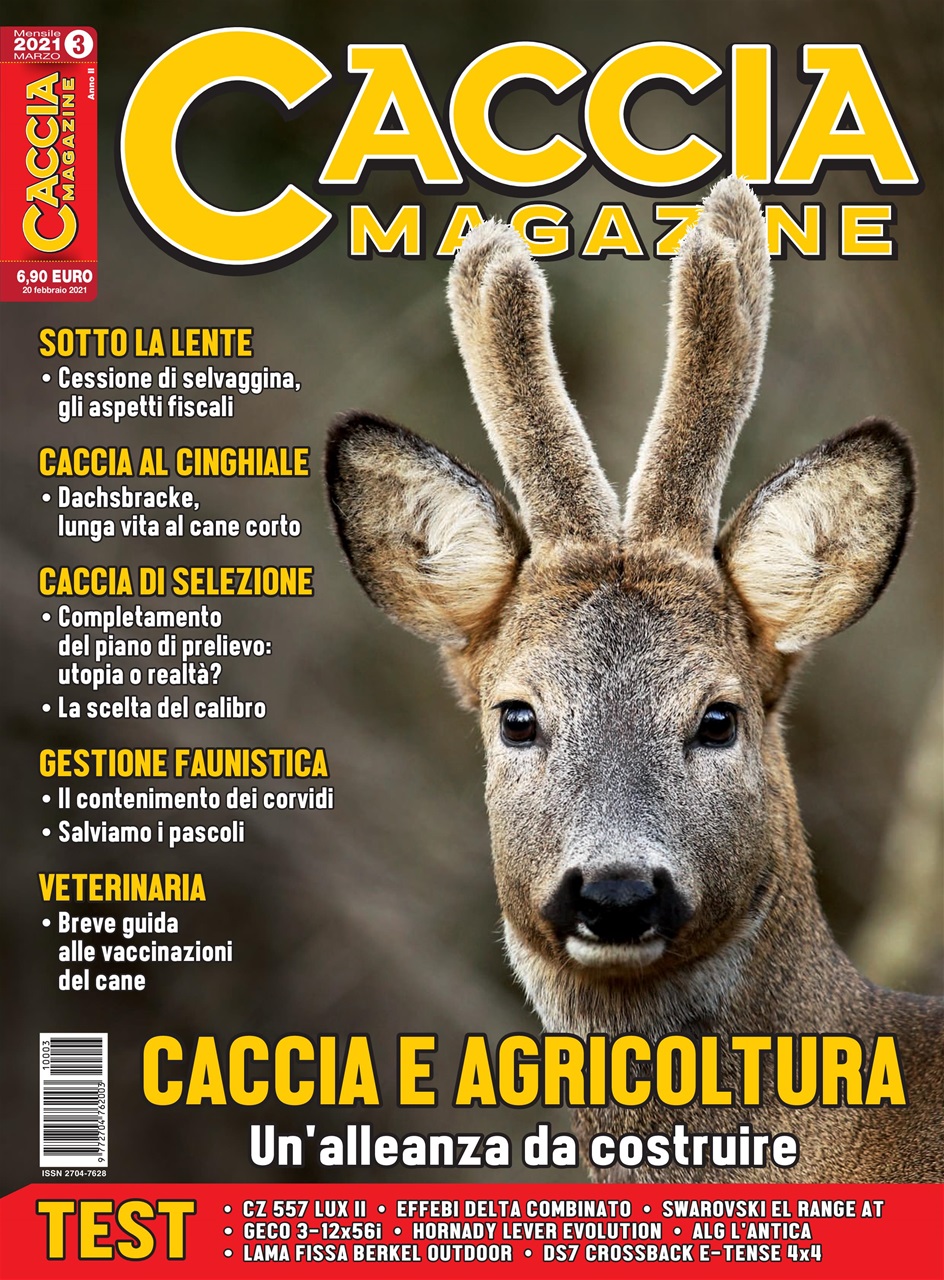 Caccia Magazine Preview Pages