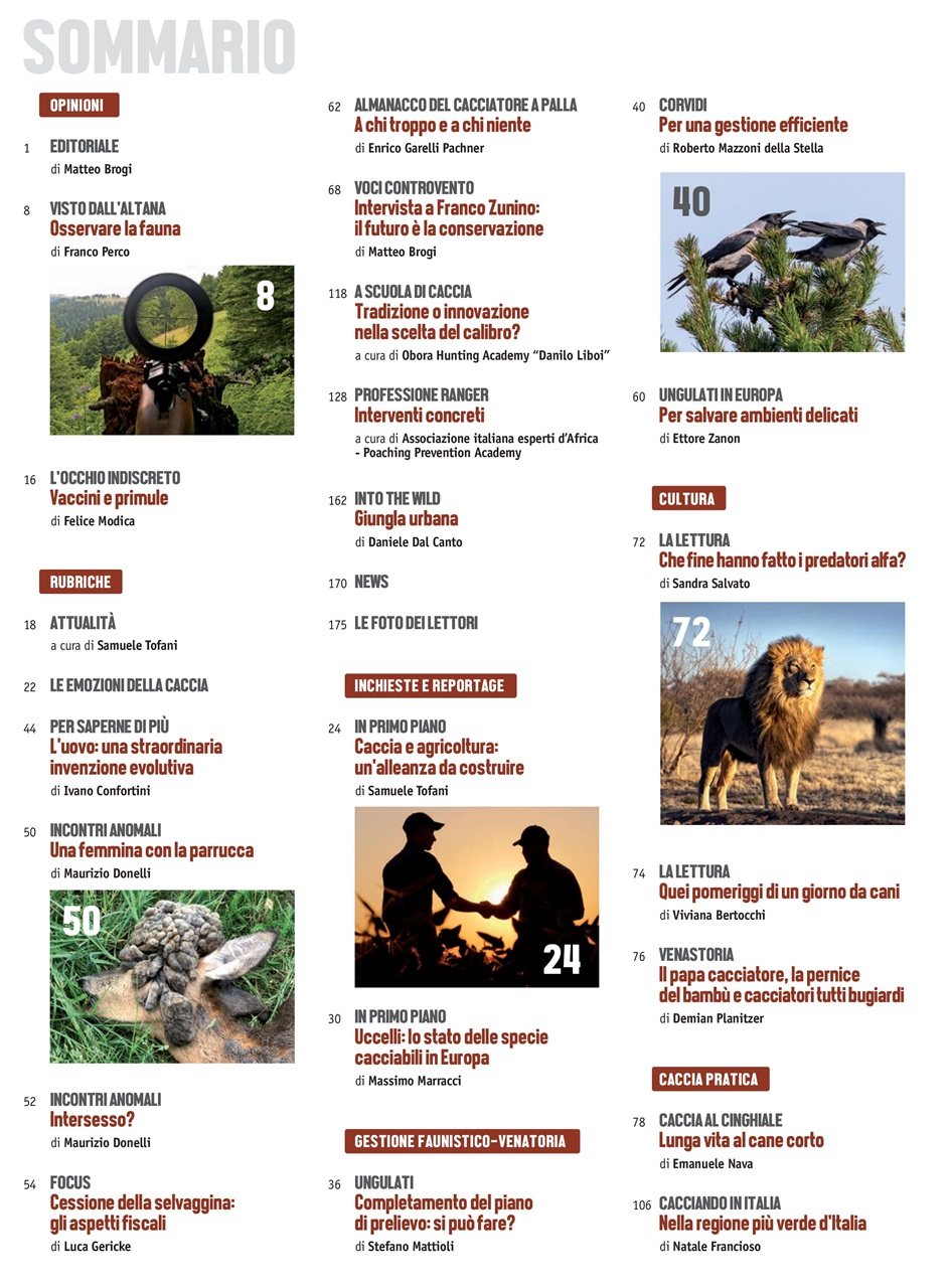 Caccia Magazine Preview Pages