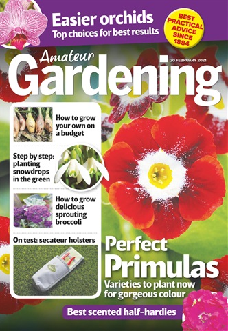 Amateur Gardening issue 20-Feb-2021