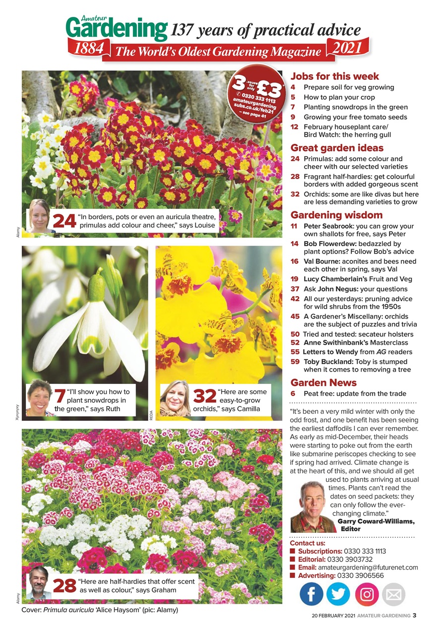Amateur Gardening Preview Pages