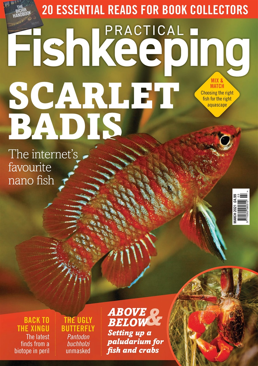 Practical Fishkeeping Preview Pages