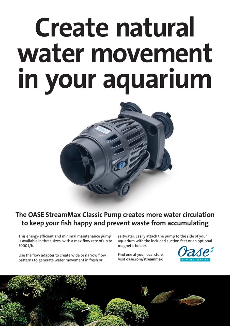 Practical Fishkeeping Preview Pages