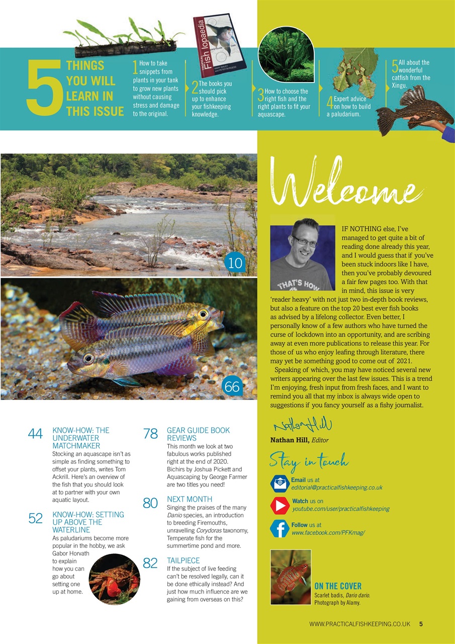 Practical Fishkeeping Preview Pages