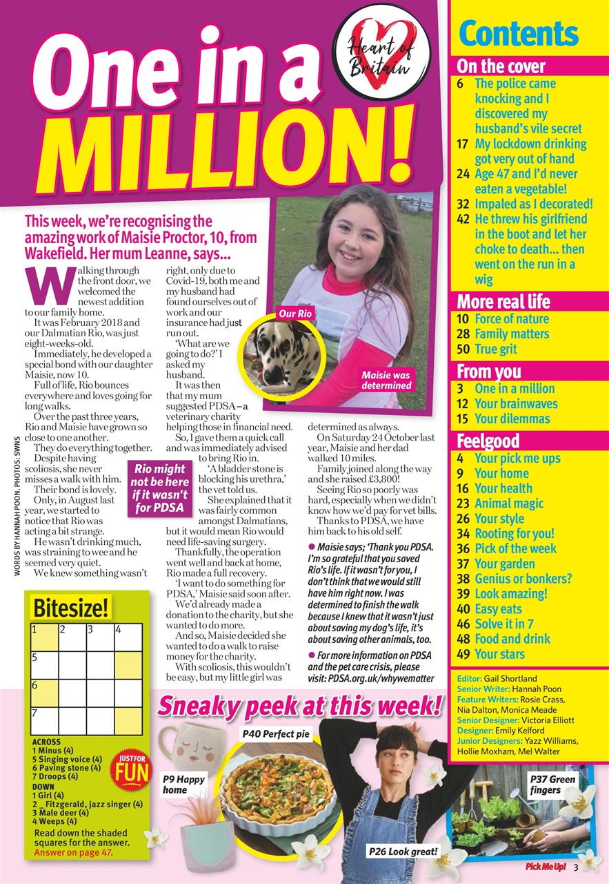 Pick Me Up Preview Pages