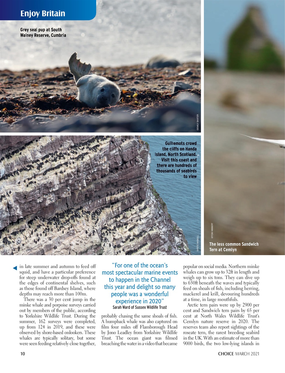 Choice Magazine Preview Pages