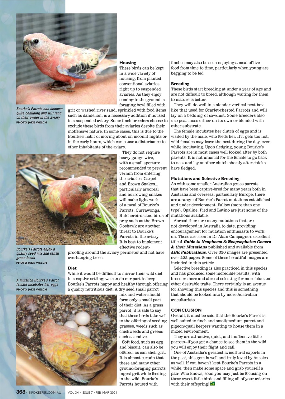 Australian Birdkeeper Magazine Preview Pages