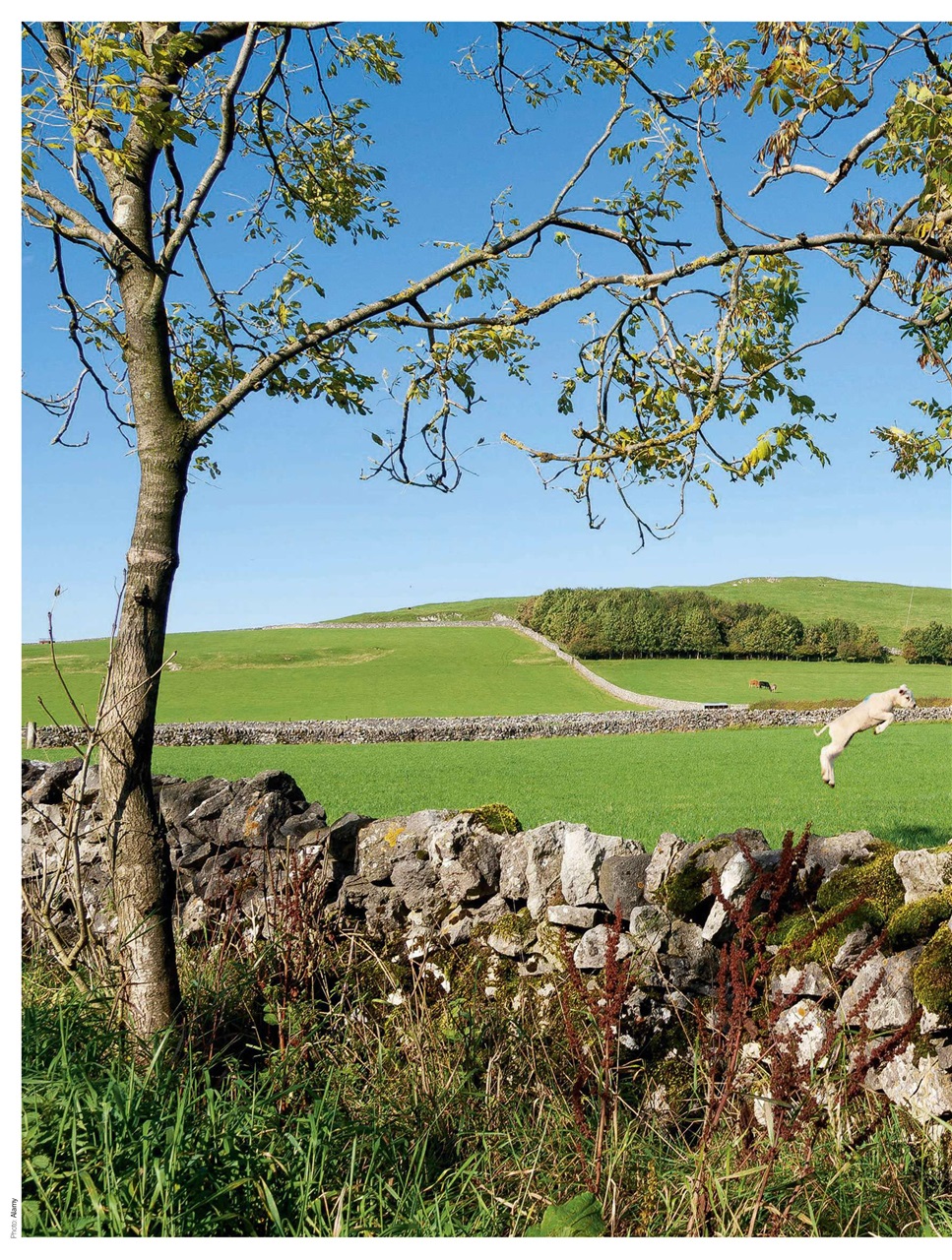 BBC Countryfile Magazine Preview Pages
