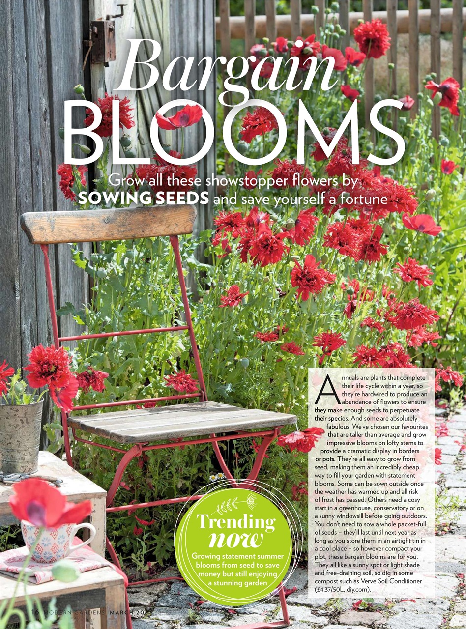 Modern Gardens Preview Pages