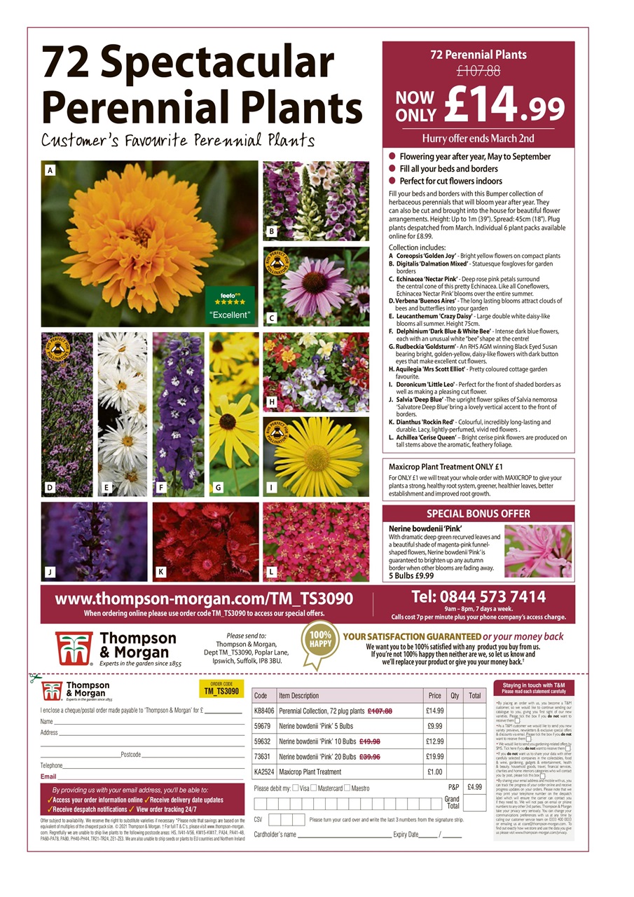 My Weekly Special Preview Pages