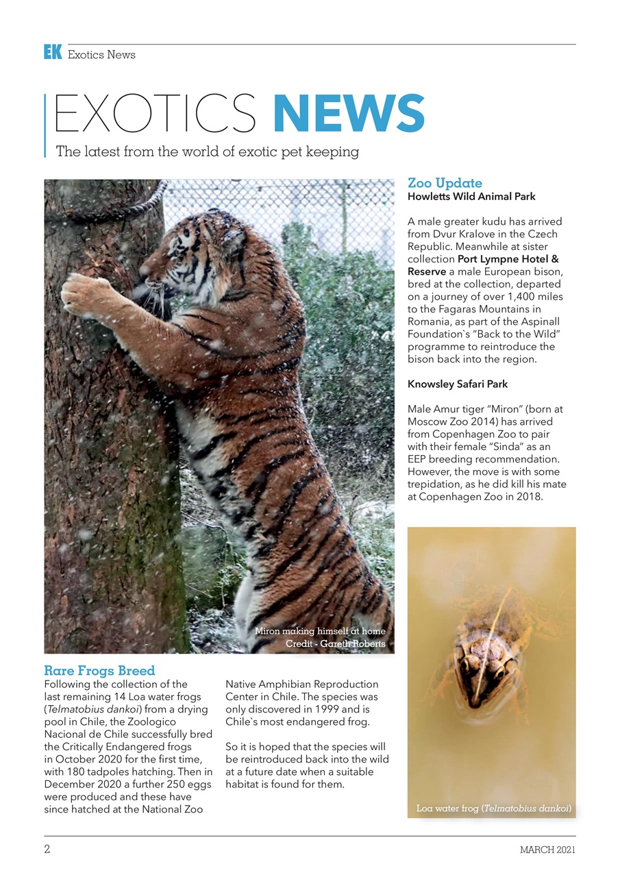 Exotics Keeper Preview Pages