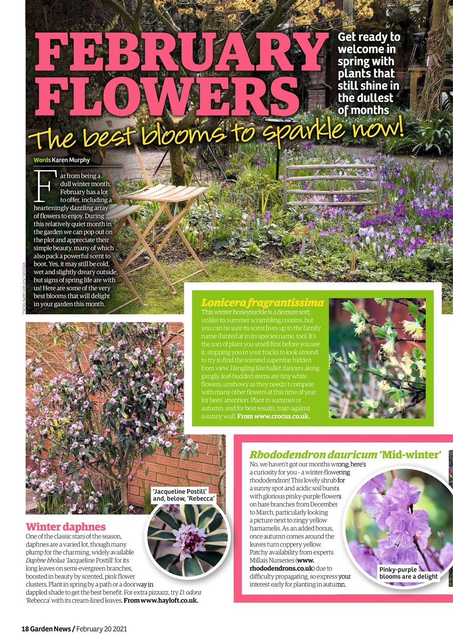 Garden News Preview Pages
