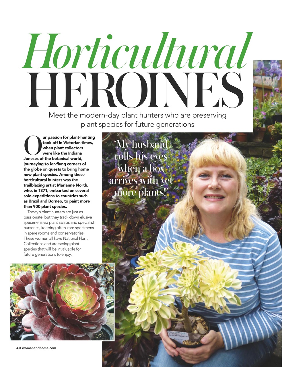 Woman & Home Preview Pages