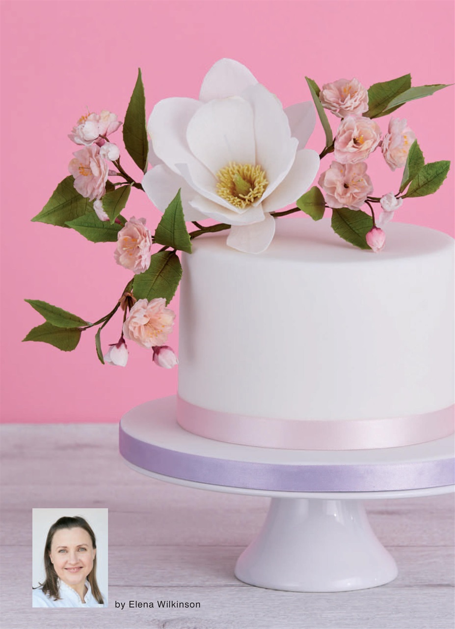 Cakes & Sugarcraft Preview Pages