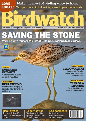 Birdwatch Magazine issue 