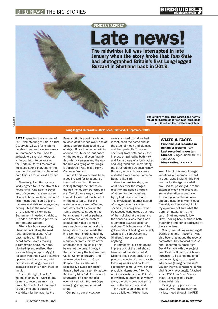 Birdwatch Magazine Preview Pages