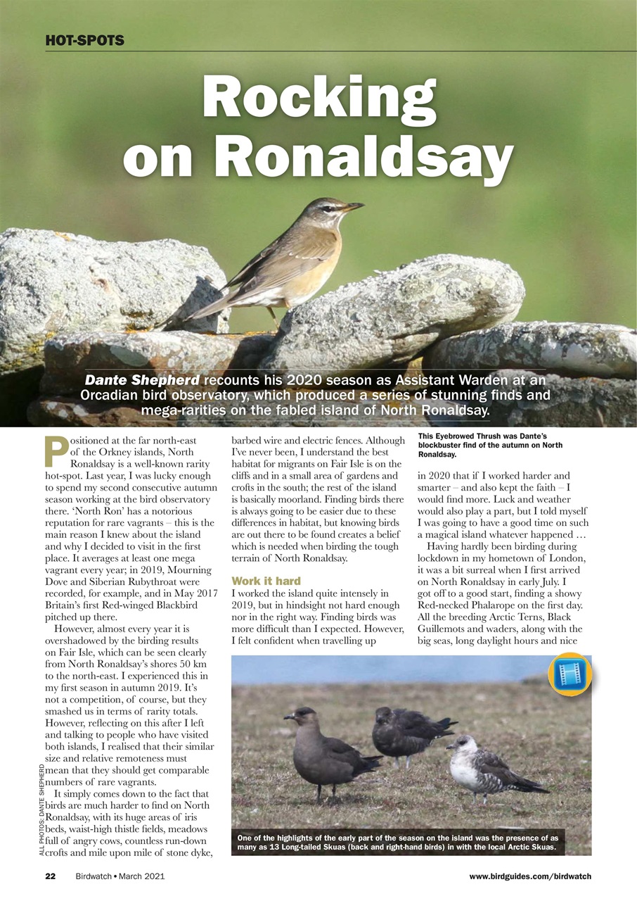 Birdwatch Magazine Preview Pages