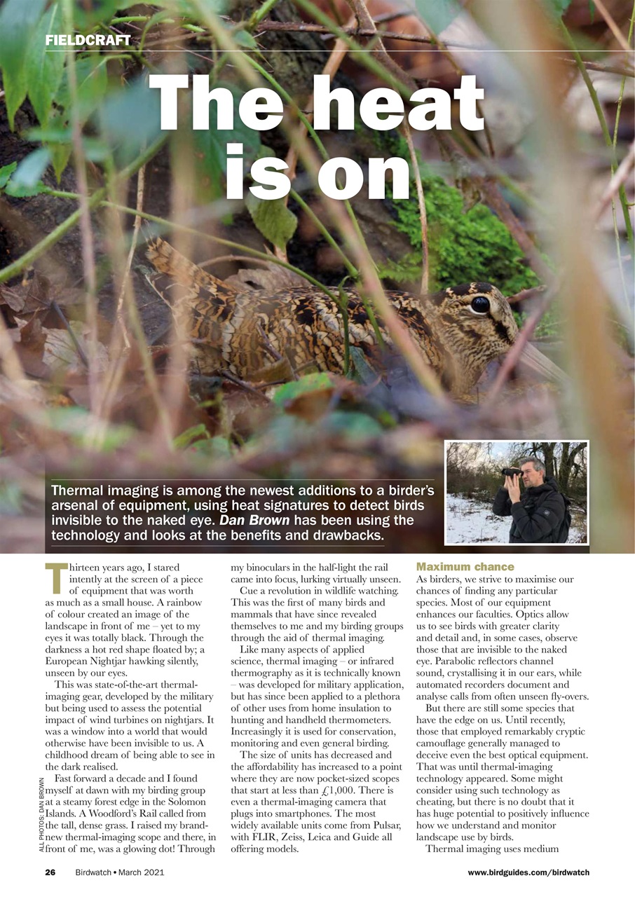 Birdwatch Magazine Preview Pages