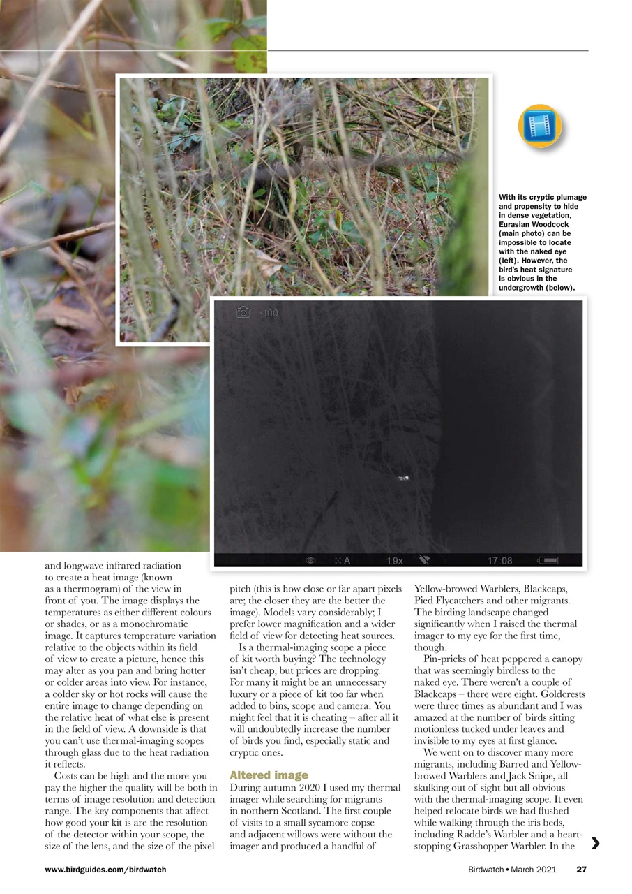 Birdwatch Magazine Preview Pages