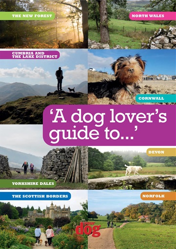 Your Dog issue 