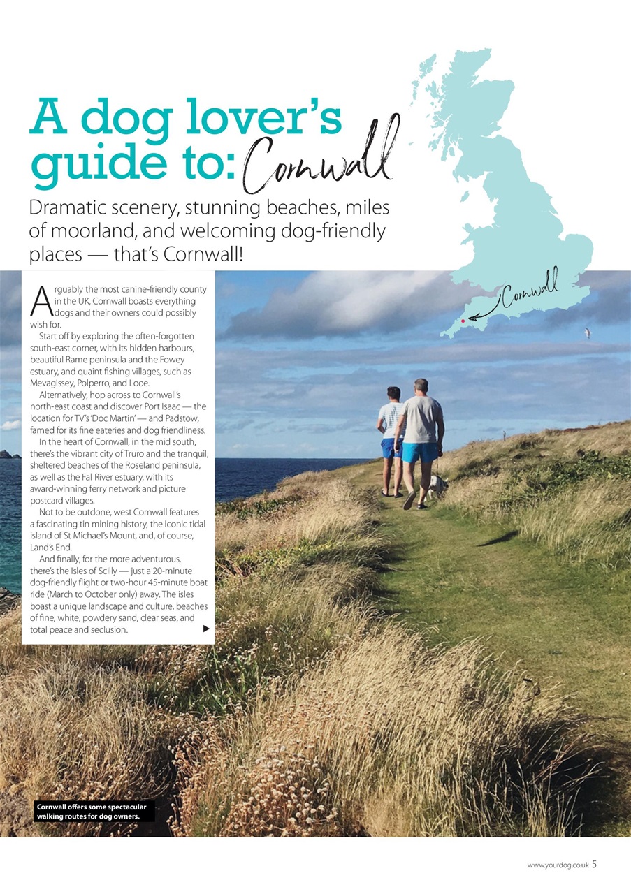 Your Dog Preview Pages