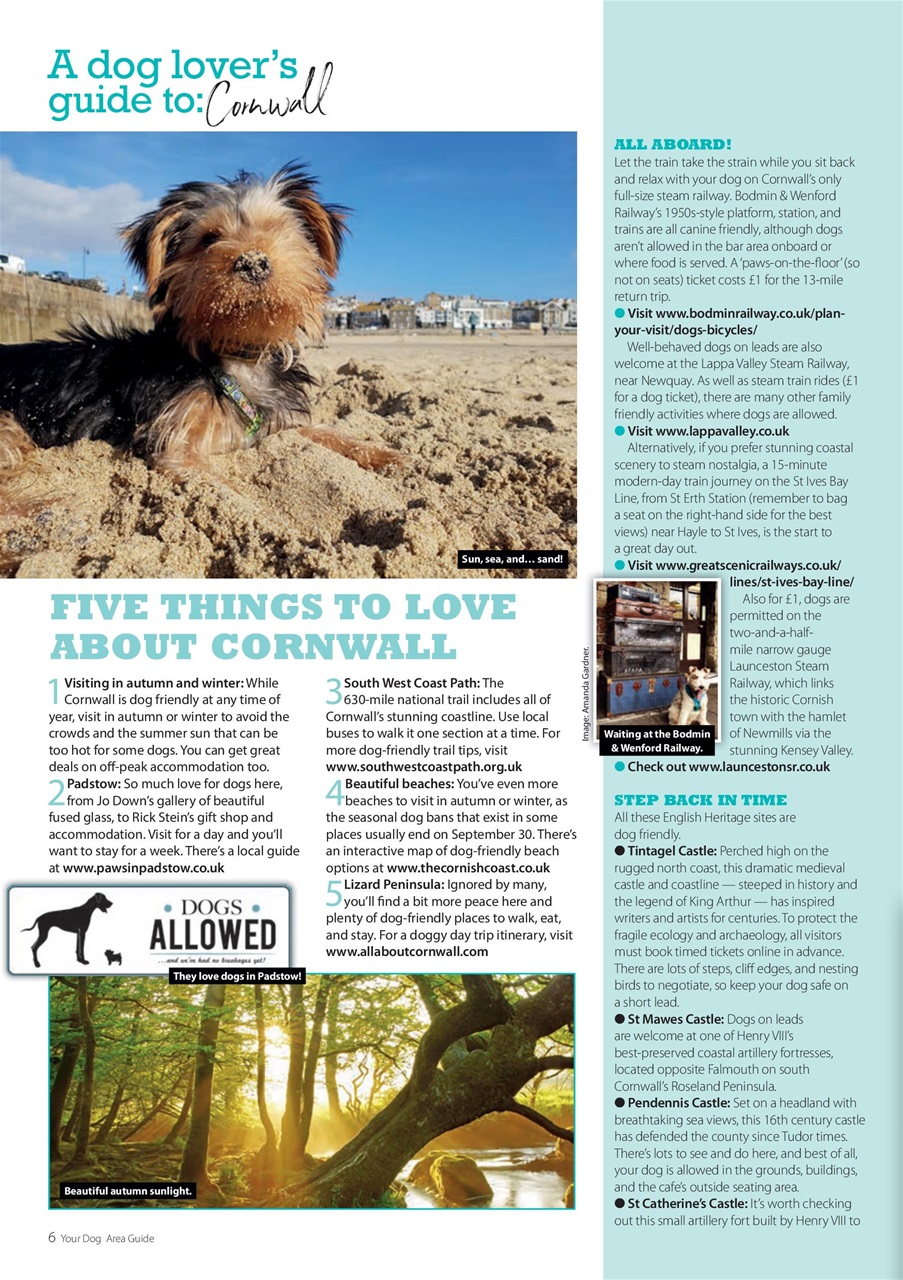 Your Dog Preview Pages