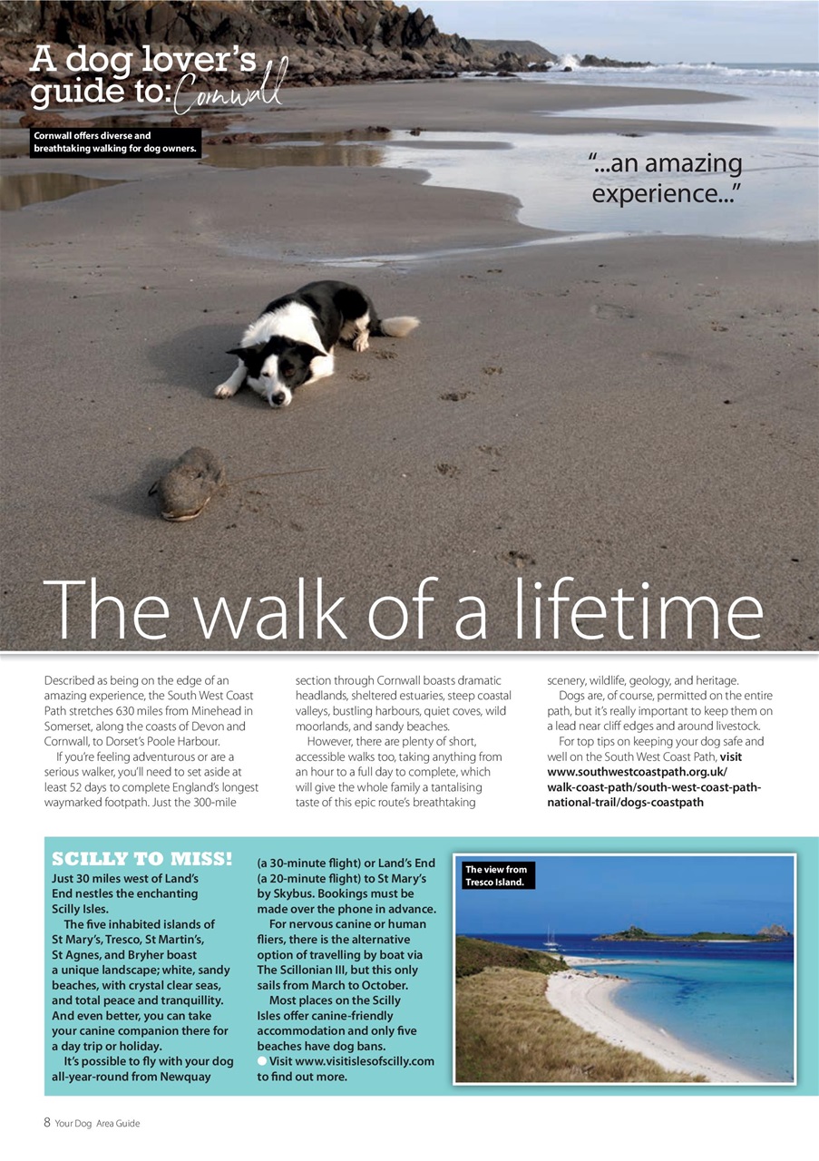 Your Dog Preview Pages