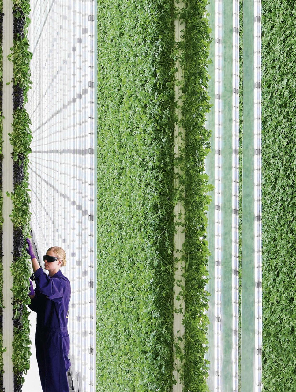 BBC Science Focus Magazine Preview Pages