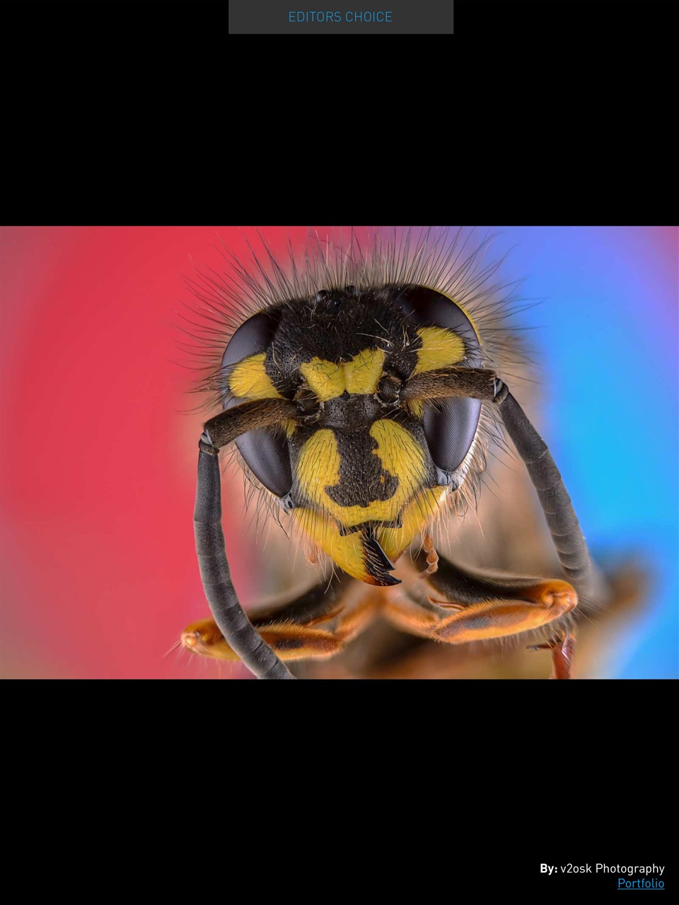 Photography Masterclass Magazine Preview Pages