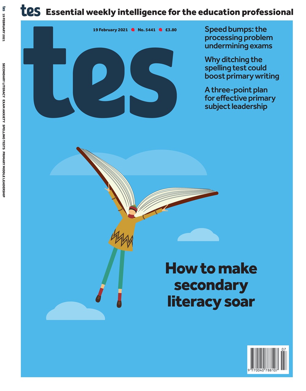 TES Preview Pages