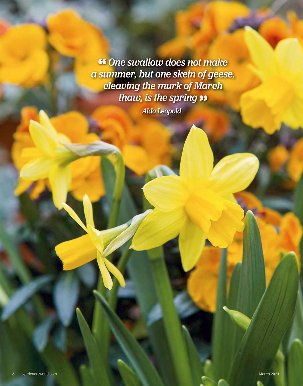 BBC Gardeners’ World Magazine Preview Pages