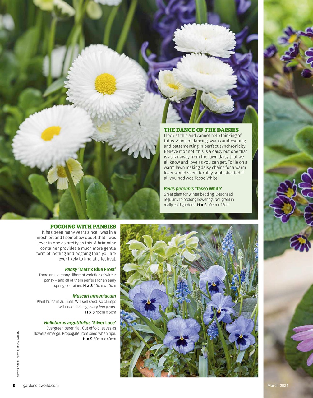 BBC Gardeners’ World Magazine Preview Pages