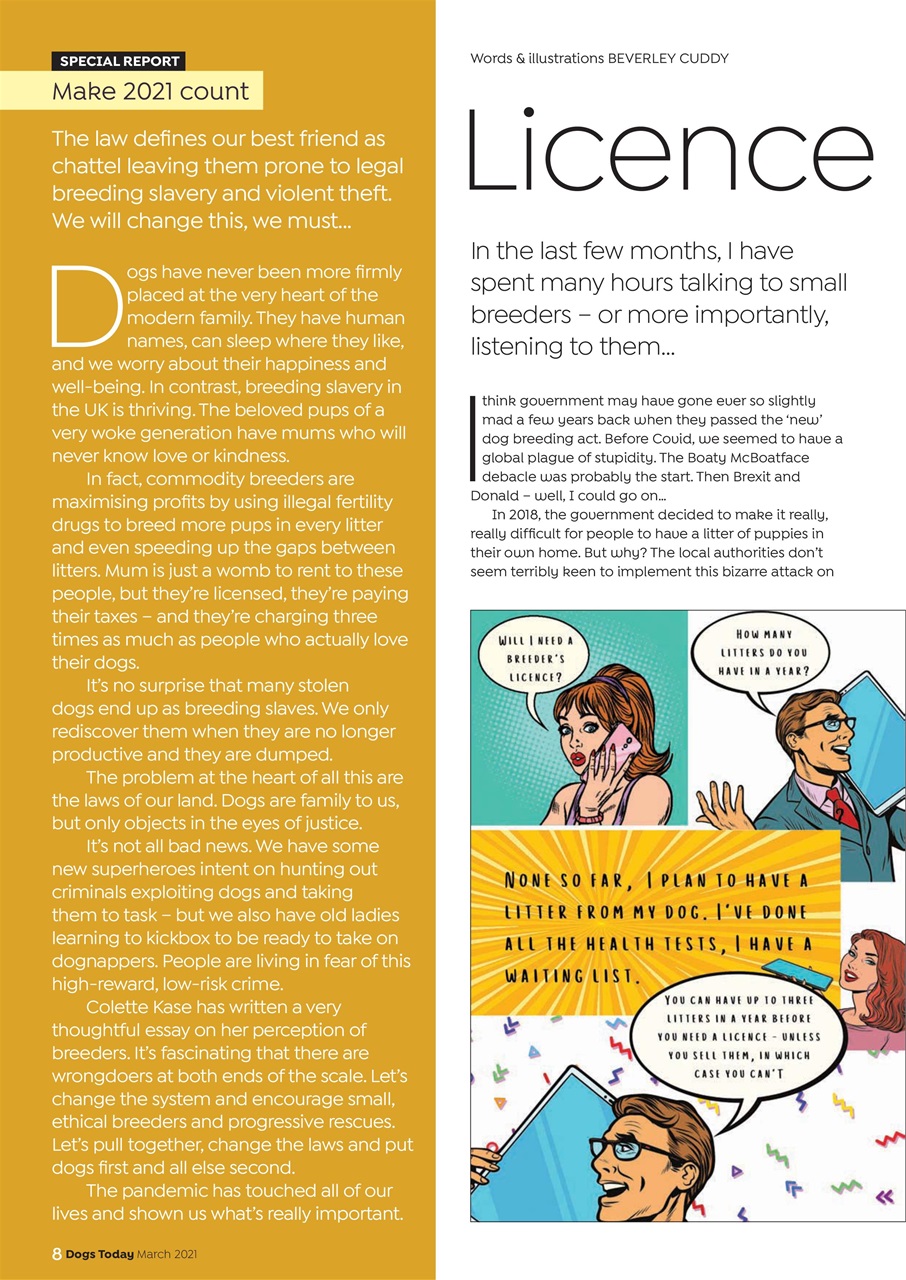 Dogs Today Magazine Preview Pages