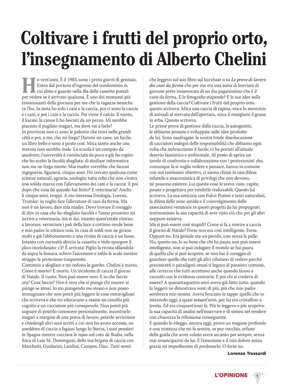 BECCACCE CHE PASSIONE Preview Pages