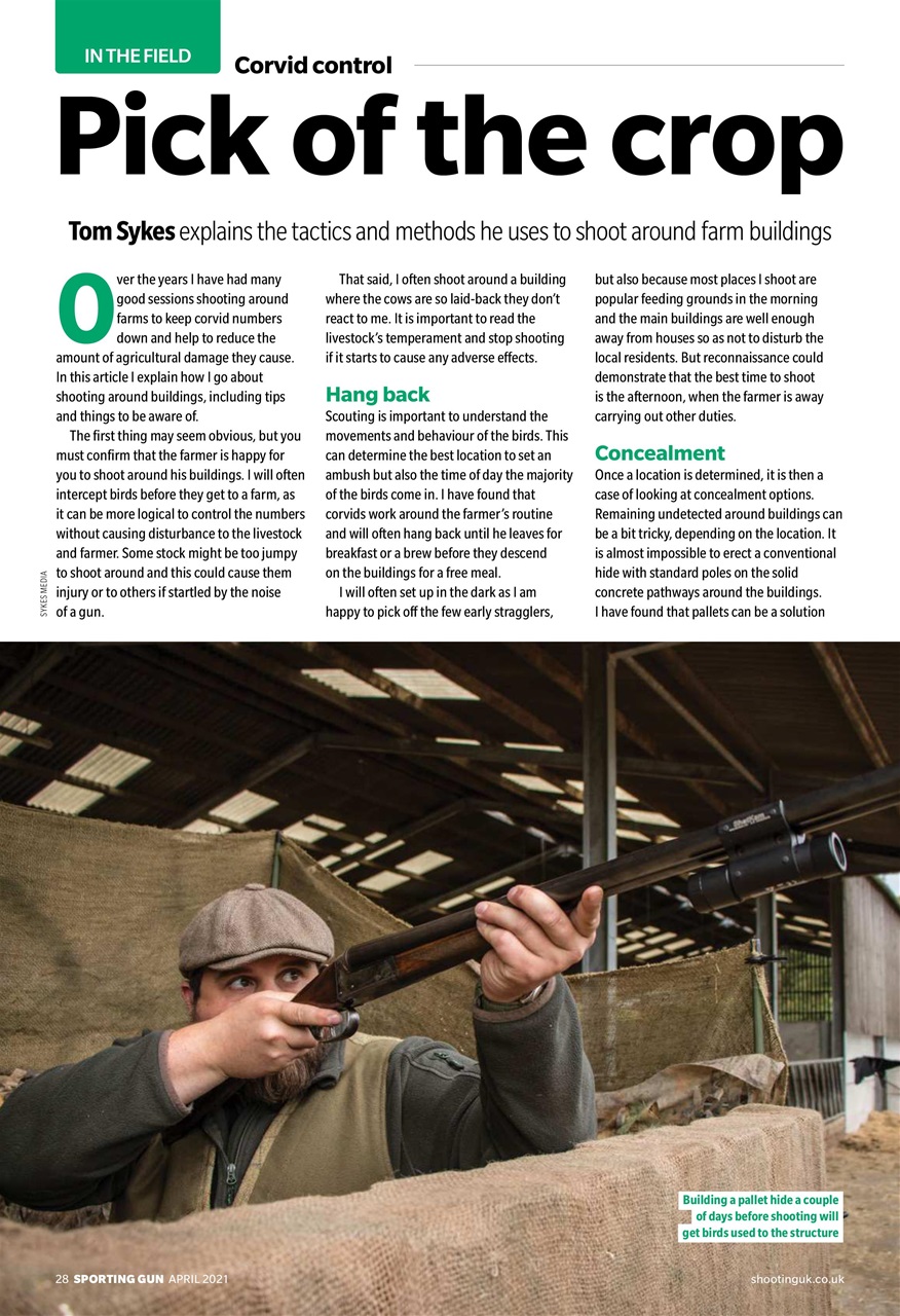 Sporting Gun Preview Pages